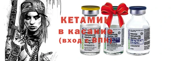 шишки Горняк