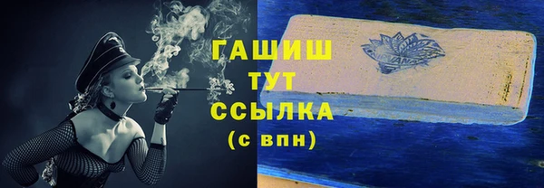 шишки Горняк