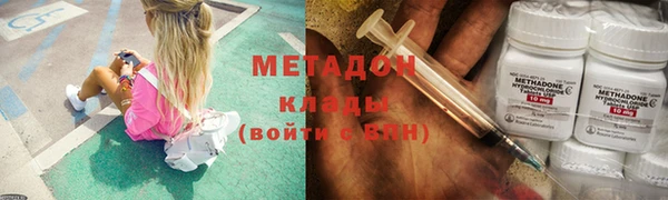 шишки Горняк
