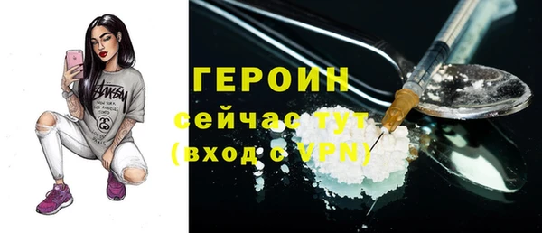 шишки Горняк
