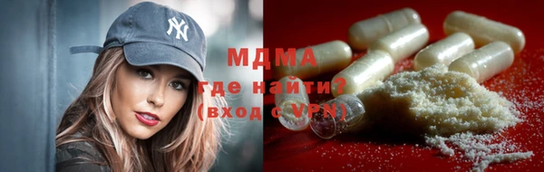 шишки Горняк
