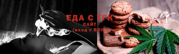 шишки Горняк