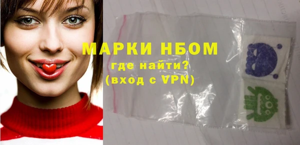 шишки Горняк