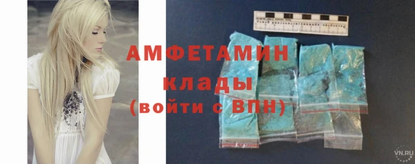 шишки Горняк