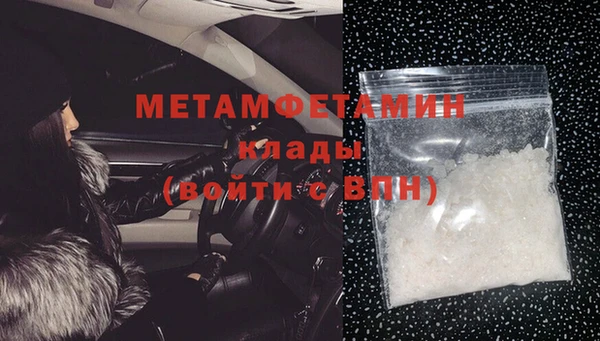 шишки Горняк
