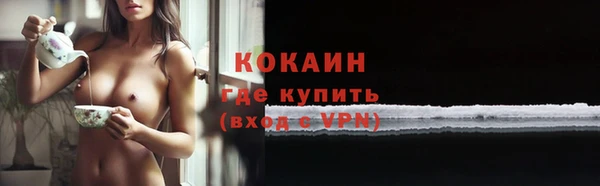 шишки Горняк