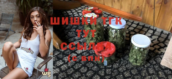 МДПВ Горно-Алтайск