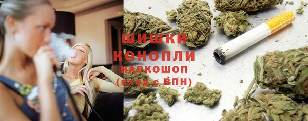 шишки Горняк