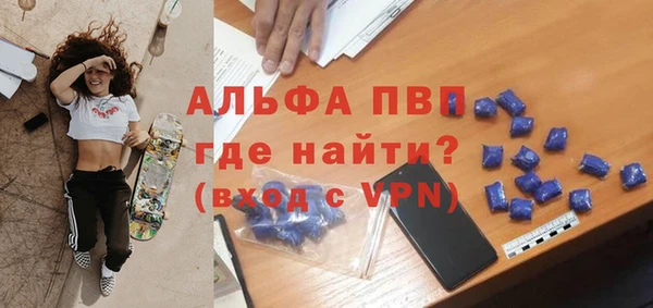 шишки Горняк